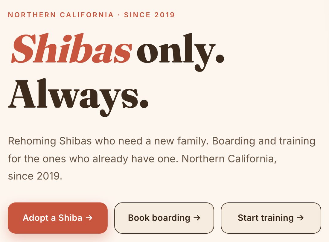 NorCal Shiba homepage, where adopting, boarding and training are three separate, clearly labelled paths.